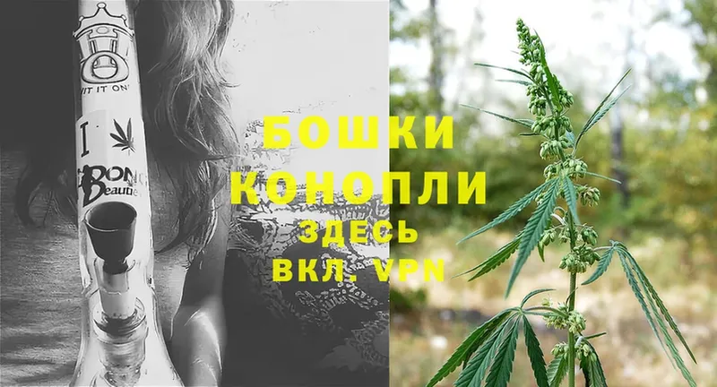 как найти наркотики  Чебоксары  Каннабис Bruce Banner 